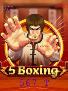 Explorando o Universo de 5Boxing: Um Jogo Inovador em 567 T