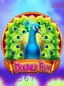 Explorando o Mundo Fascinante de DoubleFly